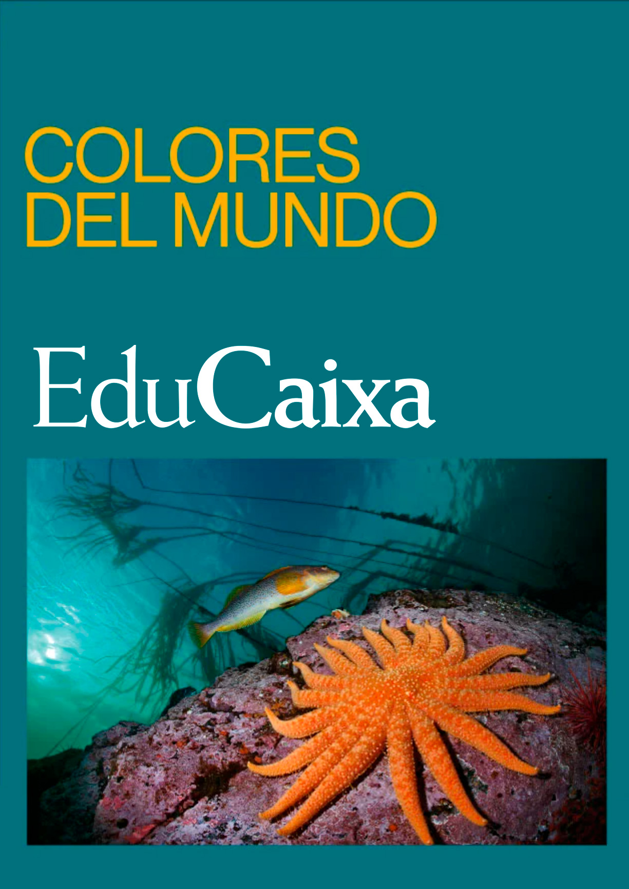 Cartel de Colores del Mundo de EduCaixa con imagen submarina